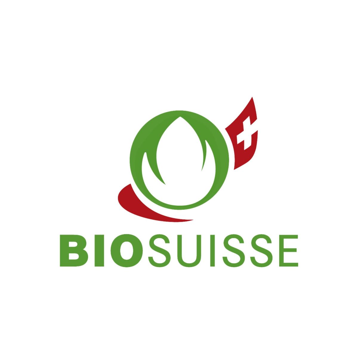 Logo-BS
